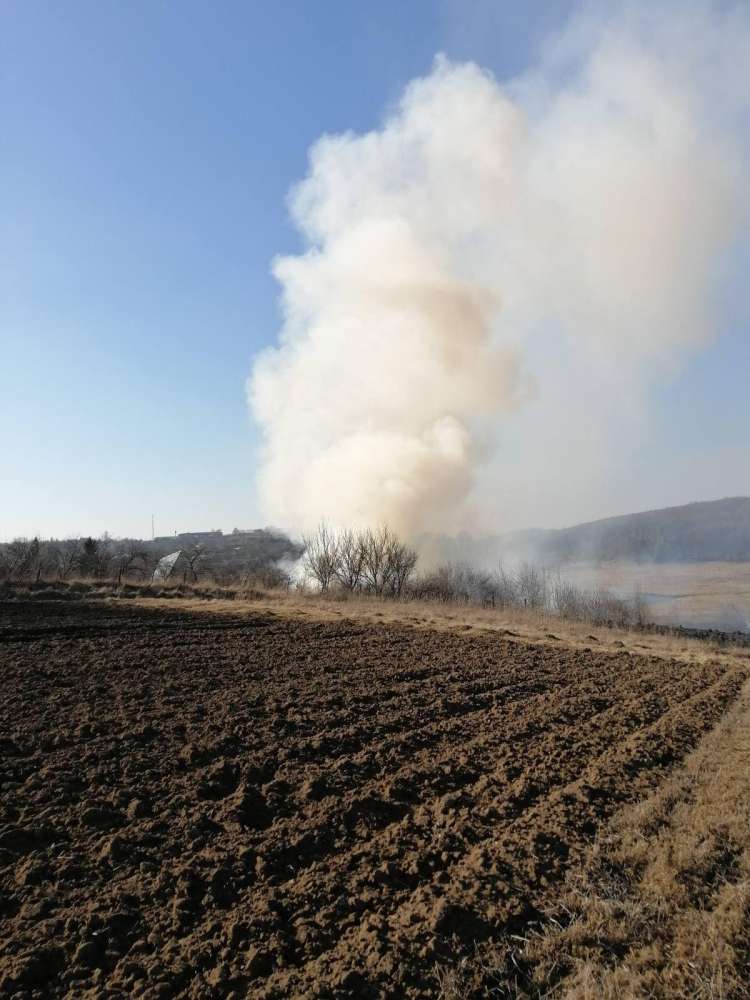 Масштабна пожежа біля Тернополя: загорілося 6 гектарів сухостою