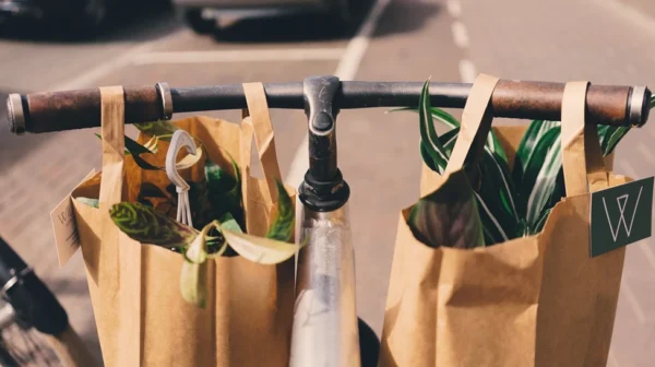 Перевезення квітів у крафтових пакетах