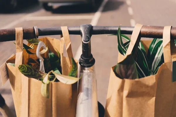 Перевезення квітів у крафтових пакетах