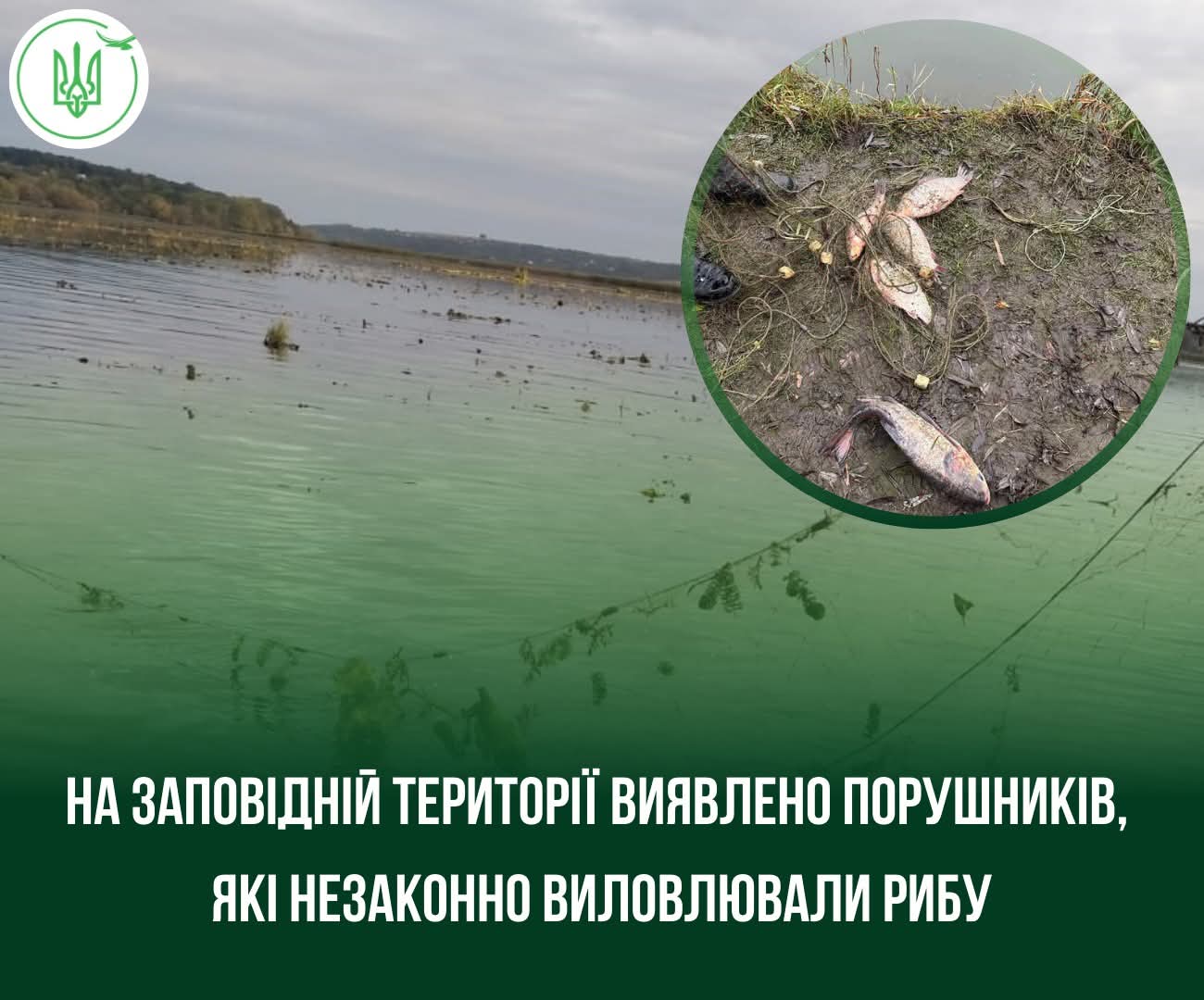 У заповіднику на Тернопільщині знову виявили браконьєрів