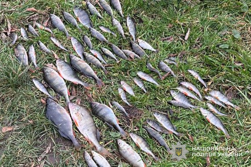 На Тернопільщині водна поліція задокументувала факт незаконного вилову риби