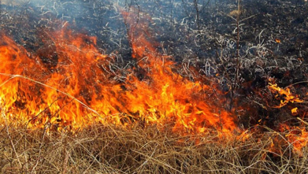 пожежа сухої трави на Тернопільщині