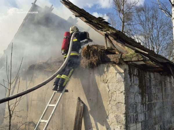 За добу на Тернопільщині сталося 9 пожеж у природних екосистемах. Вогонь охопив понад 3 гектари території.