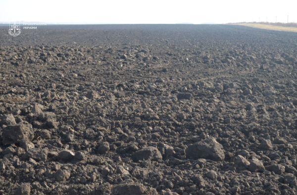 земельна ділянка яку повернули громаді