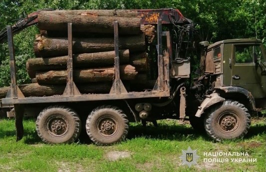 незаконна вирубка дерев ліс Кременець