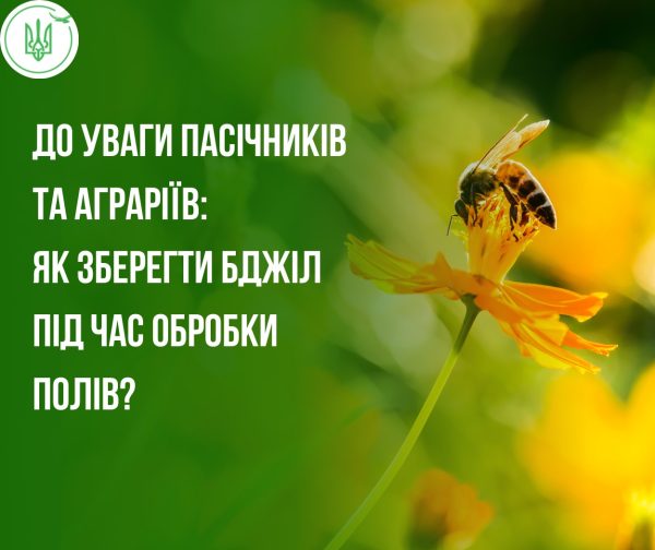 бджоли на квітах