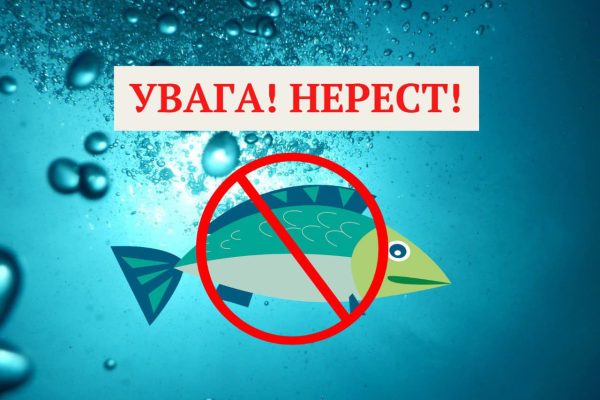 риболовля під час нересту заборона